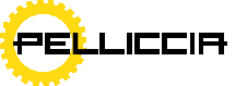 Logo-Pelliccia-nero-Srl